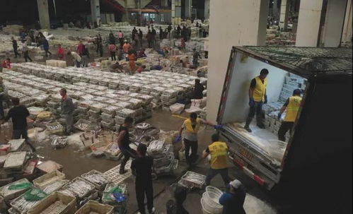 浙江水產城榮獲省級食品安全規范化A級農批市場稱號，引領食用農產品批發新標桿